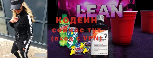 дживик Абаза