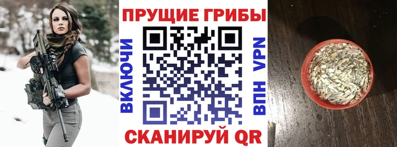 kraken онион Фёдоровский Псилоцибиновые грибы MAGIC MUSHROOMS